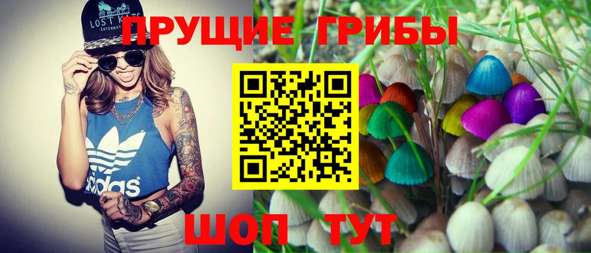 Галлюциногенные грибы MAGIC MUSHROOMS Артём