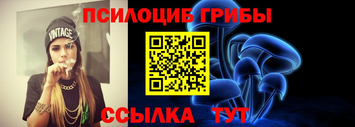 Псилоцибиновые грибы ЛСД  Галлюциногенные грибы Cubensis  Артём  Вход с VPN 